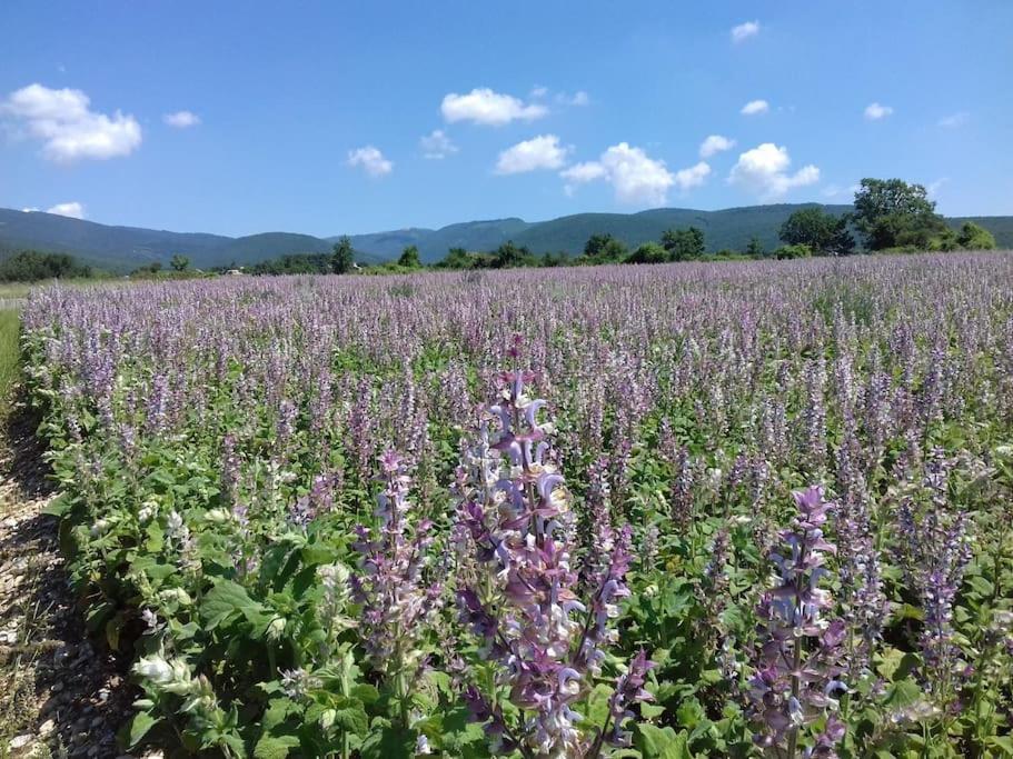 Gite Les Granges Dans Ferme Provencale. 14 Pers Ongles Extérieur photo