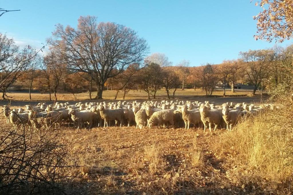 Gite Les Granges Dans Ferme Provencale. 14 Pers Ongles Extérieur photo