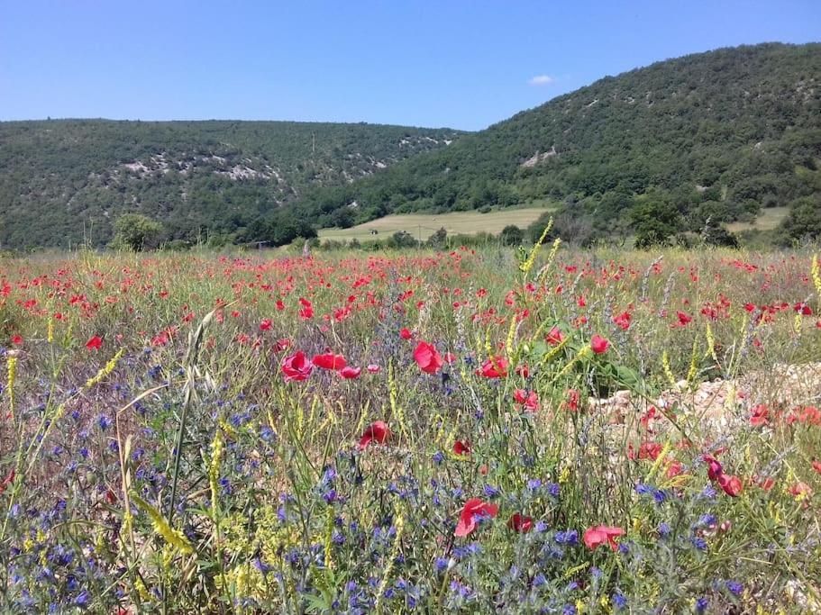 Gite Les Granges Dans Ferme Provencale. 14 Pers Ongles Extérieur photo